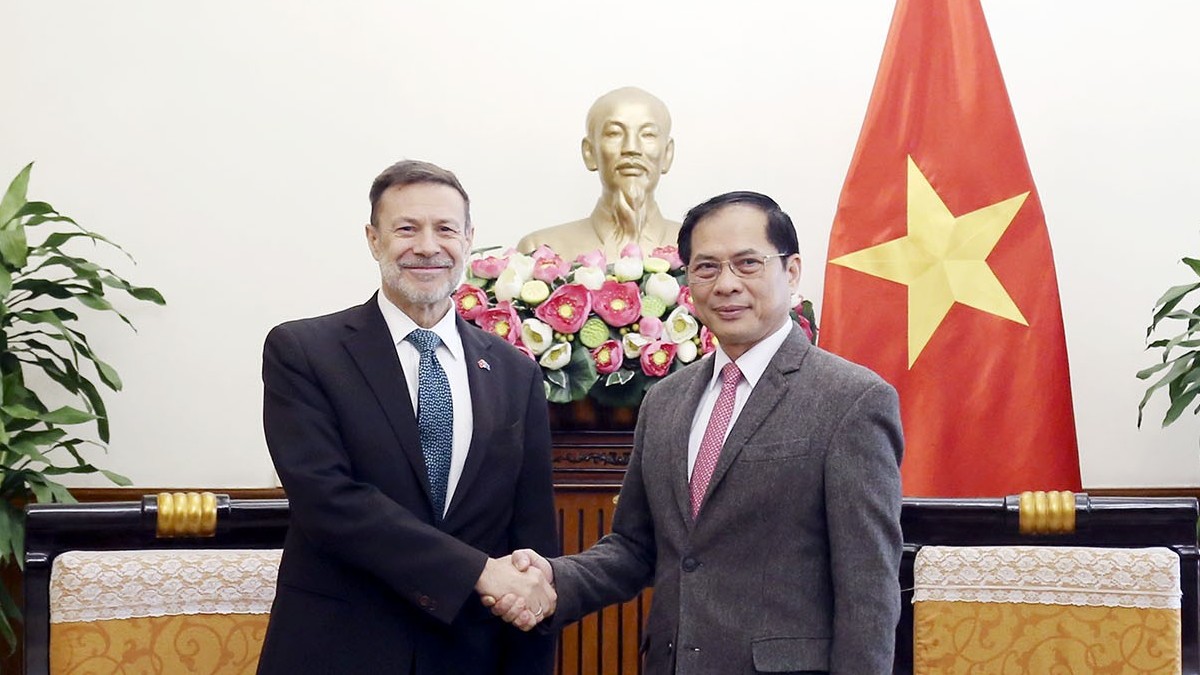 Phó Thủ tướng, Bộ trưởng Ngoại giao Bùi Thanh Sơn tiếp Đại sứ Australia tại Việt Nam