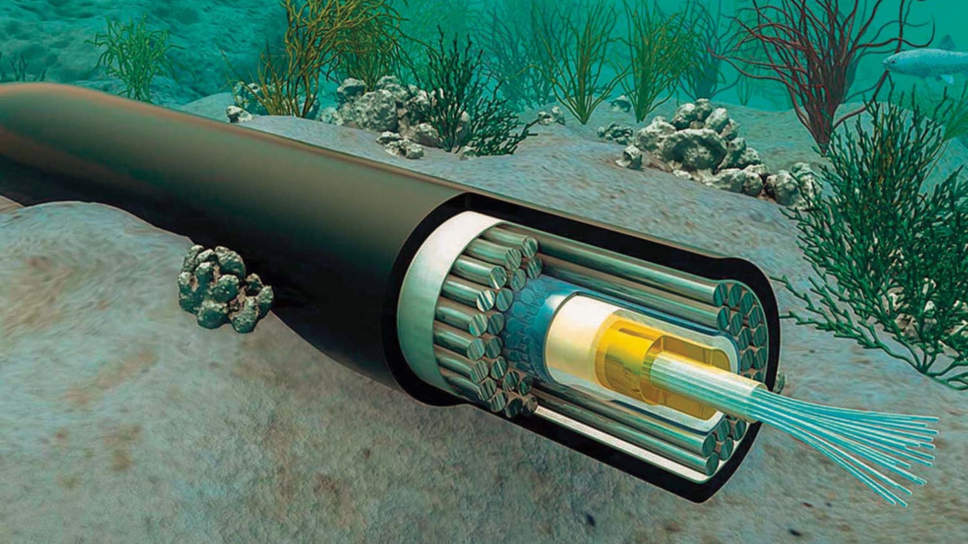 Cáp quang - Hệ vũ khí chiến lược dưới lòng biển