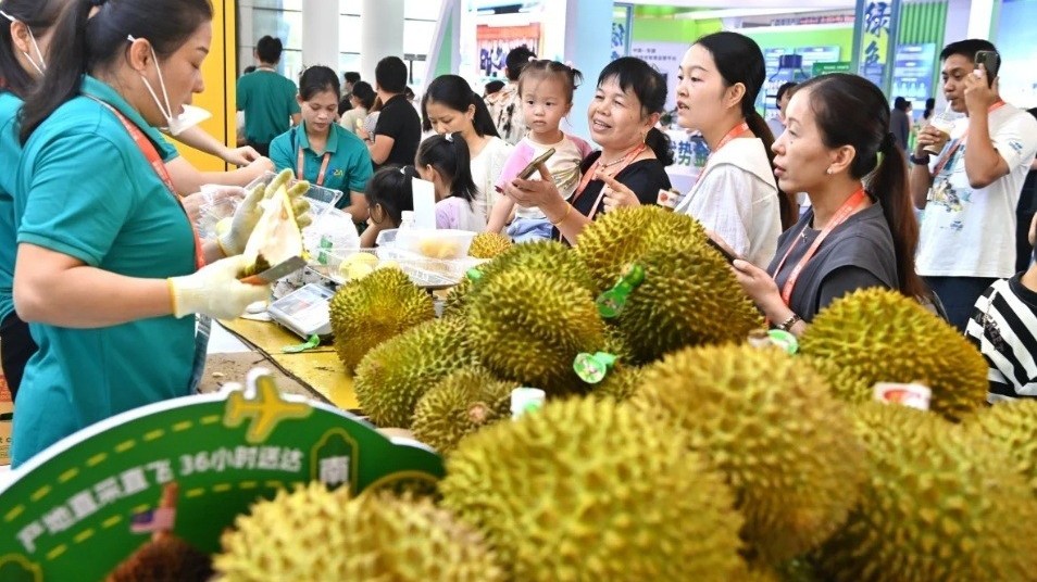 Dân Trung Quốc phát cuồng vì sầu riêng, Việt Nam lần đầu vượt Thái Lan trở thành nhà cung cấp hàng đầu