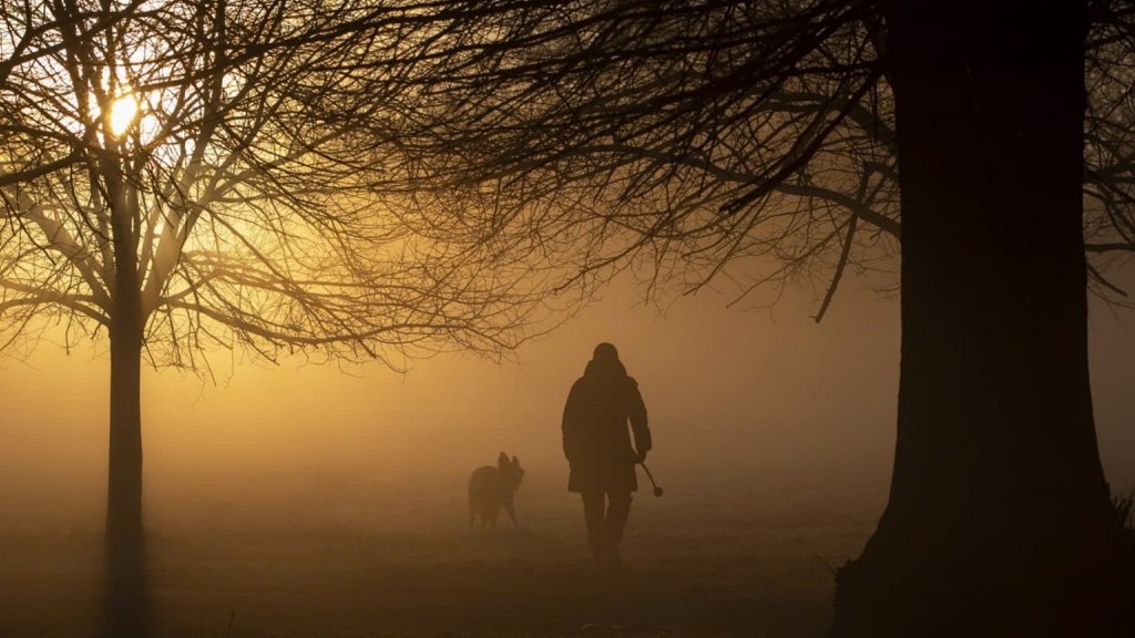 Bí quyết cải thiện trí nhớ