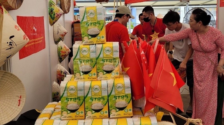 Kim ngạch thương mại Việt Nam-Singapore đạt kỷ lục mới