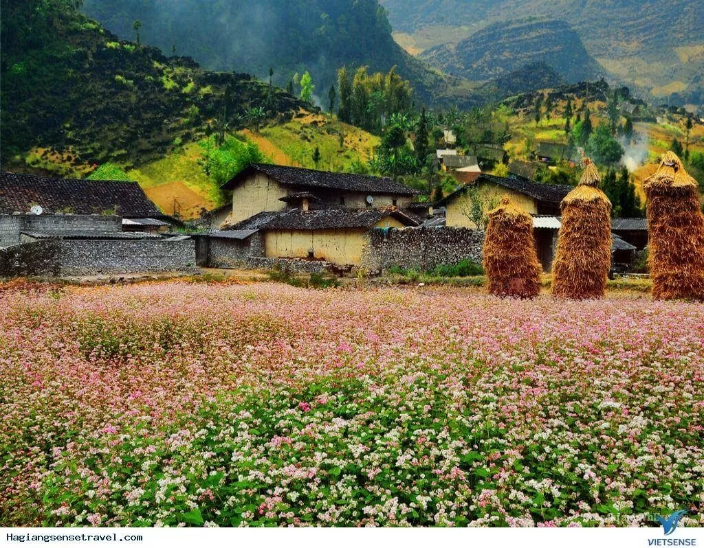 Thung lũng Sủng Là: 'Ốc đảo' yên bình trên cao nguyên đá Hà Giang Thung lũng Sủng Là: 'Ốc đảo' yên bình trên cao nguyên đá Hà Giang