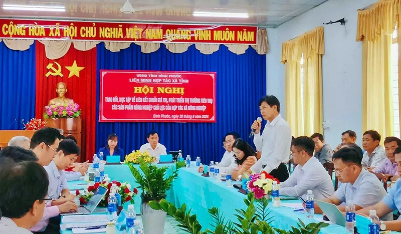 'Cầu nối' chiến lược đưa Bình Phước phát triển bền vững trong kỷ nguyên hội nhập 'Cầu nối' chiến lược đưa Bình Phước phát triển bền vững trong kỷ nguyên hội nhập