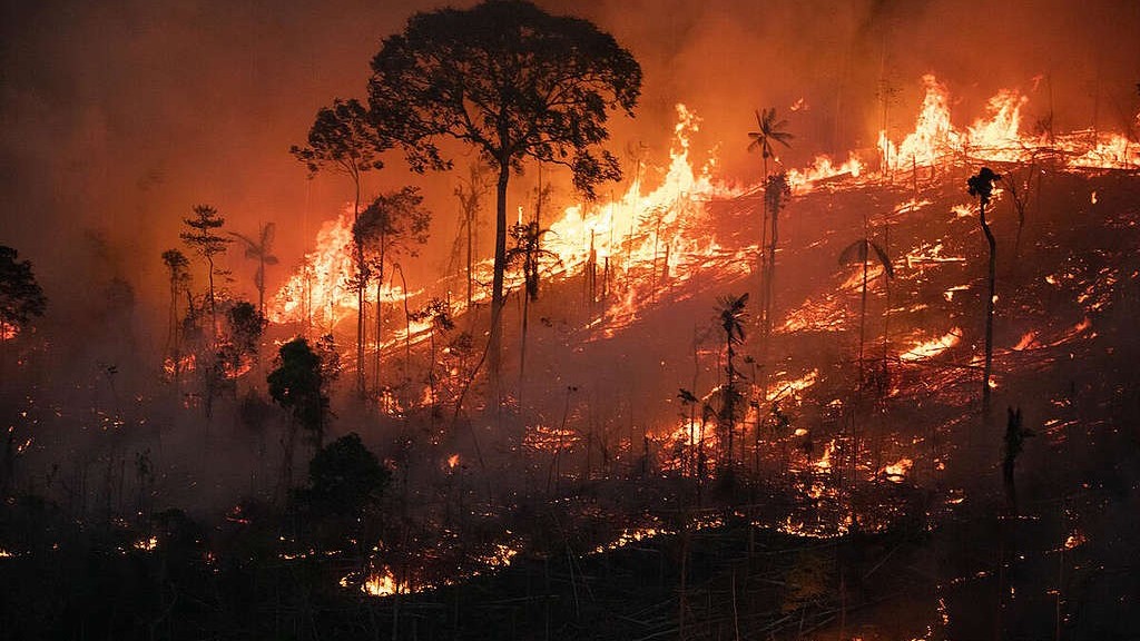 Hạn hán kéo dài, 'lá phổi xanh của Trái đất' liên tục bị thiêu đốt bởi cháy rừng, sắp chạm ngưỡng nguy hiểm