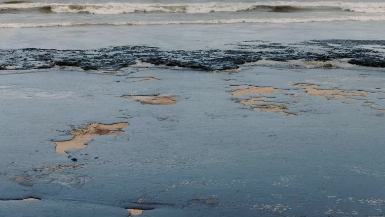 Biển Đen: Thứ dầu nhiên liệu 'làm khó' con người tràn rộng, Nga đưa ra con số, nói thấp hơn ước tính Biển Đen: Thứ dầu nhiên liệu 'làm khó' con người tràn rộng, Nga đưa ra con số, nói thấp hơn ước tính