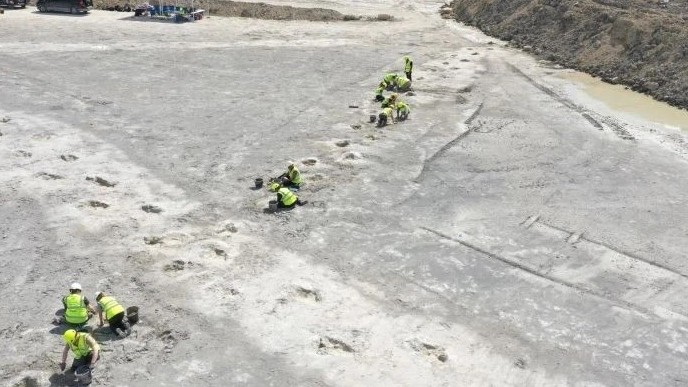 Phát lộ 200 dấu chân khủng long cổ đại trên đường mòn tại Anh