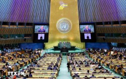 Đại sứ Đặng Hoàng Giang: Tự hào nhìn lại một năm ngoại giao tại 'trái tim' đa phương Liên hợp quốc, sẵn sàng cho những đột phá mới