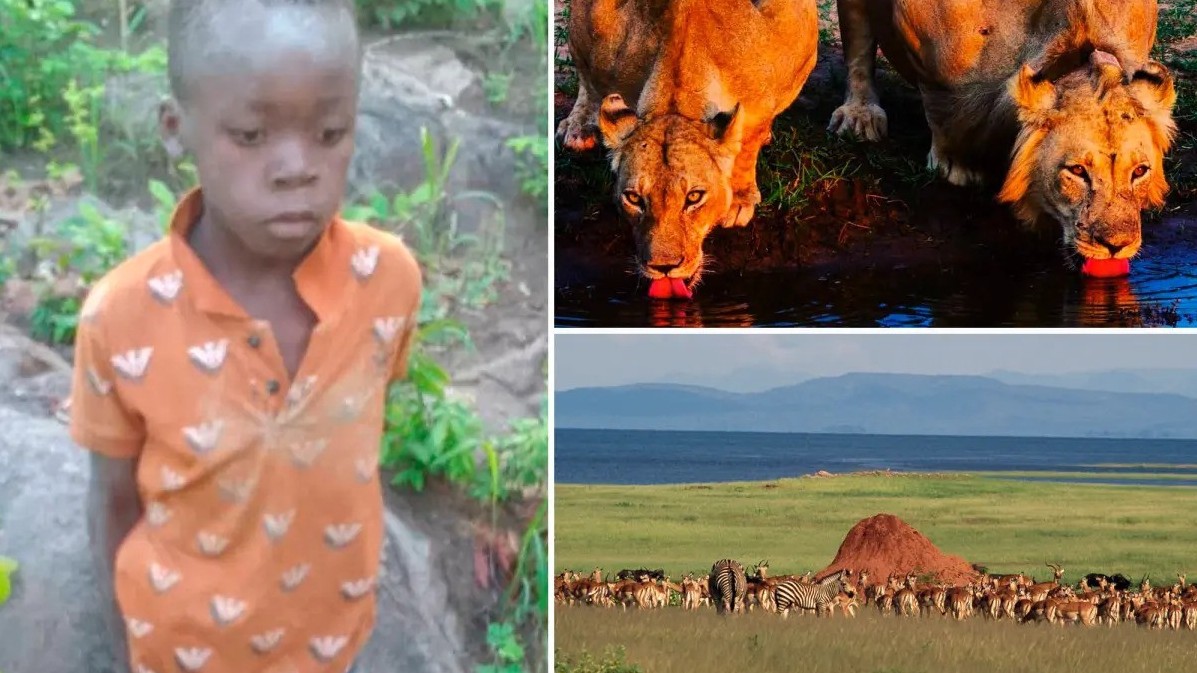 Bé trai 7 tuổi sống sót thần kỳ trong khu động vật hoang dã