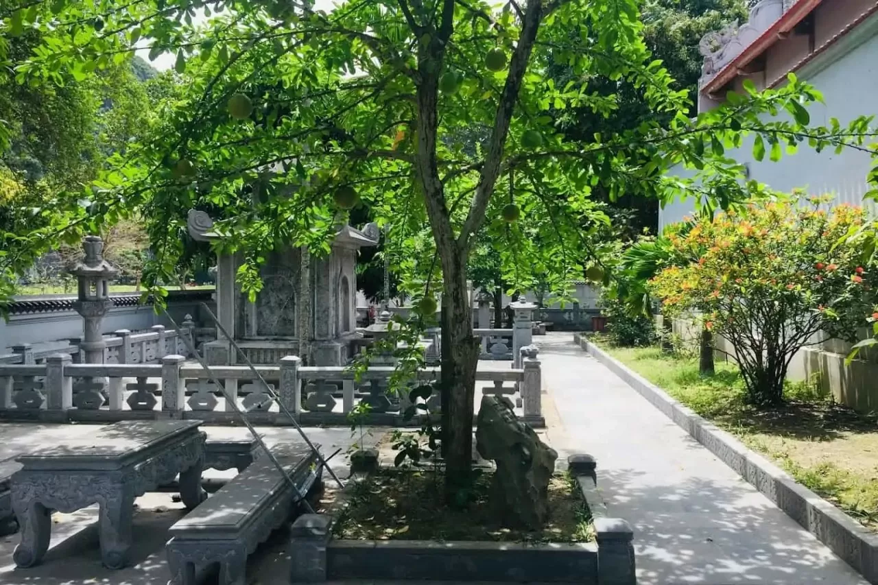 Đền Thái Vi (Ninh Bình): ‘Nét chấm phá’ giữa không gian vùng quê Bắc Bộ Đền Thái Vi (Ninh Bình): ‘Nét chấm phá’ giữa không gian vùng quê Bắc Bộ