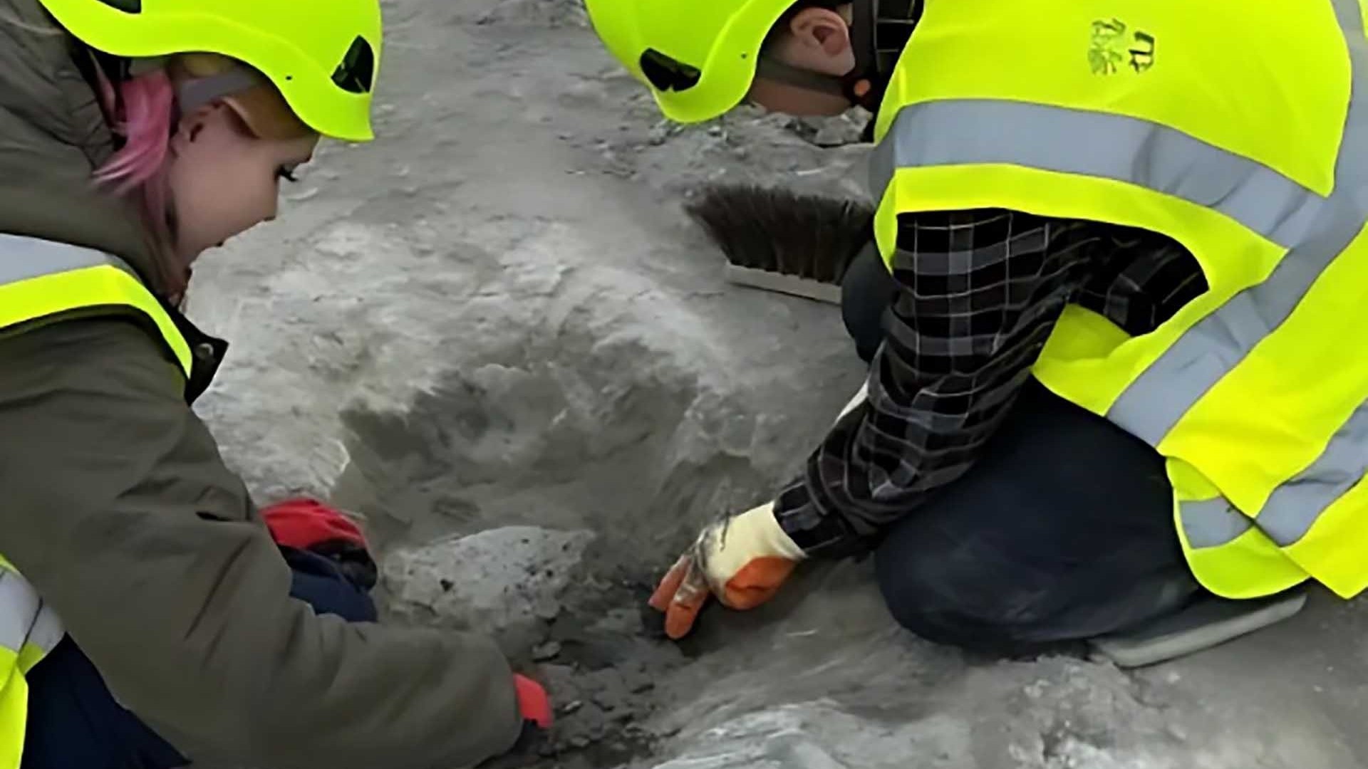 Phát hiện ‘xa lộ khủng long’ ở Anh