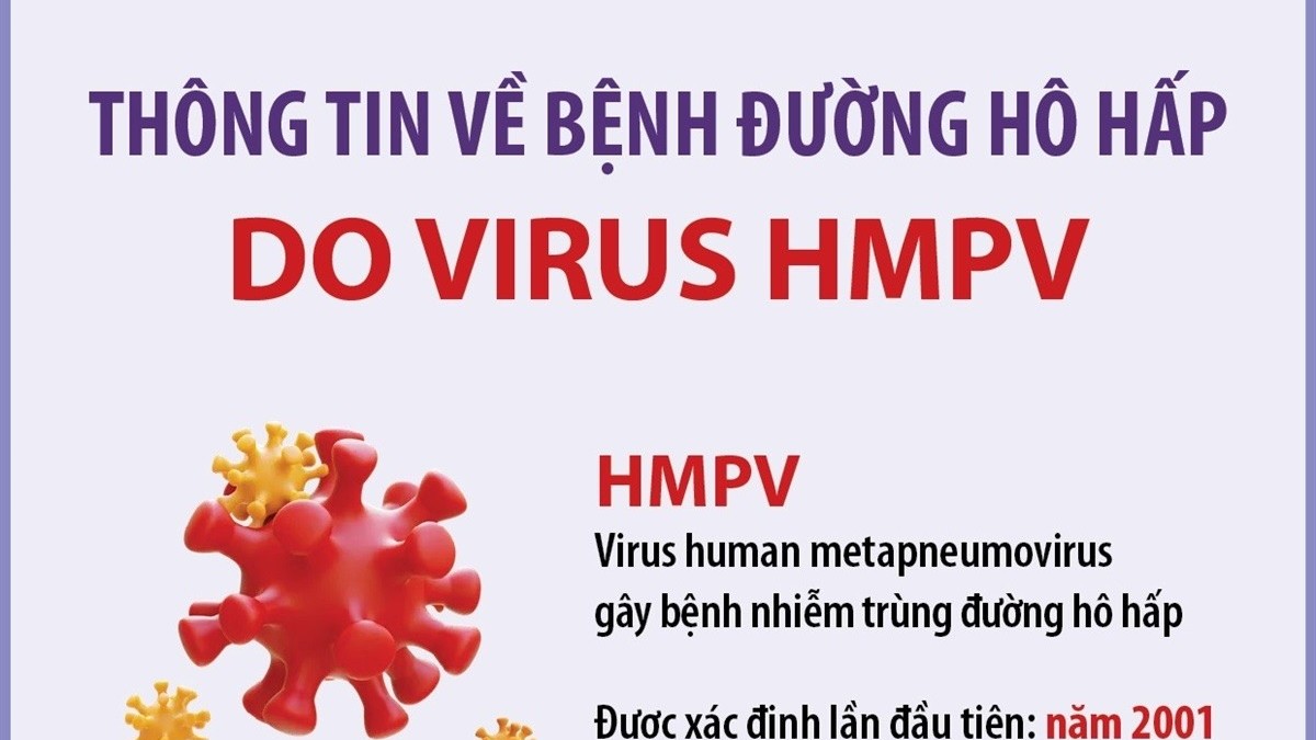 Thông tin về bệnh đường hô hấp do virus HMPV