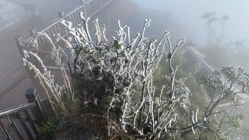 Băng tuyết phủ trắng xóa mái nhà, cây cối nhiều khu vực ở Lào Cai