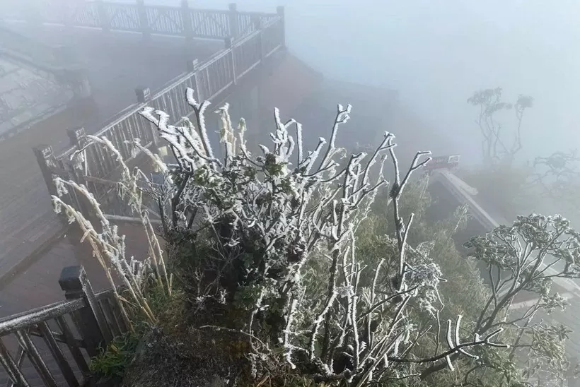 Lào Cai: Đỉnh Fansipan xuống -6 độ C, băng tuyết phủ trắng xóa Lào Cai: Đỉnh Fansipan xuống -6 độ C, băng tuyết phủ trắng xóa