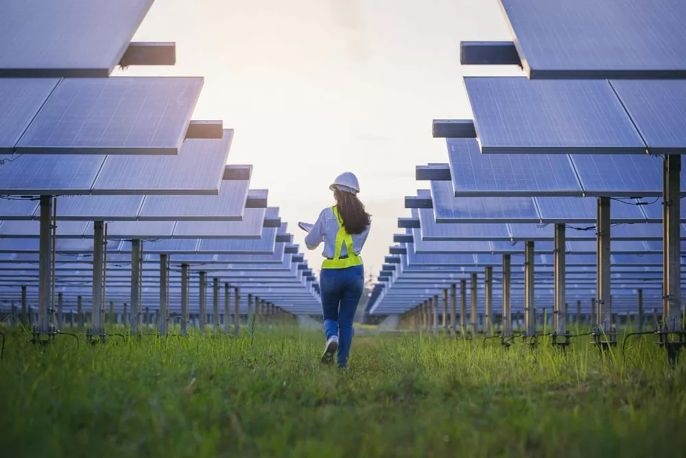 Việc làm xanh – xu hướng trong nền kinh tế bền vững