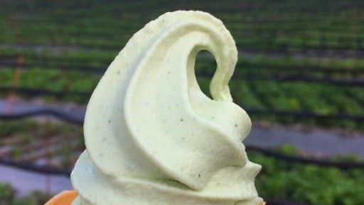 Món kem đặc biệt dành cho người kiêng đồ ngọt tại Nhật Bản