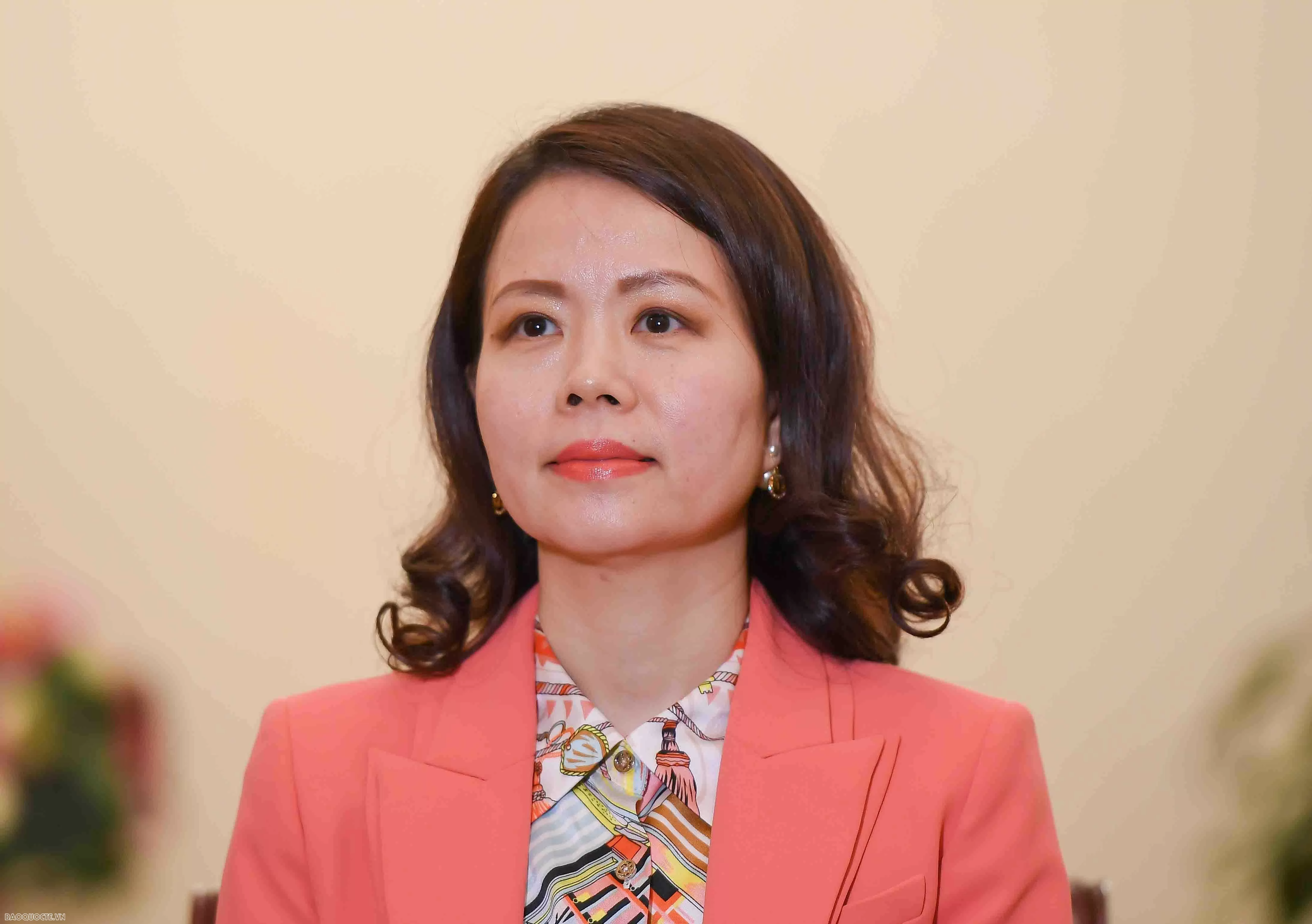 Thứ trưởng Ngoại giao Nguyễn Minh Hằng. (Ảnh: Nguyễn Hồng