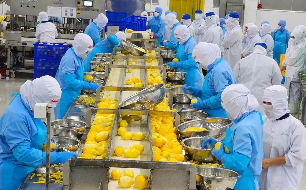 An Giang Phát triển ngành hàng Halal. (Nguồn: Báo An Giang)