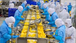 An Giang triển khai nhiều biện pháp hỗ trợ doanh nghiệp tiếp cận thị trường Halal