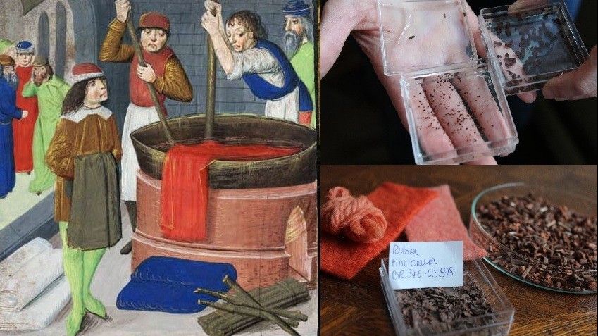 Người Trung cổ ở châu Âu dùng vật liệu gì để nhuộm vải?