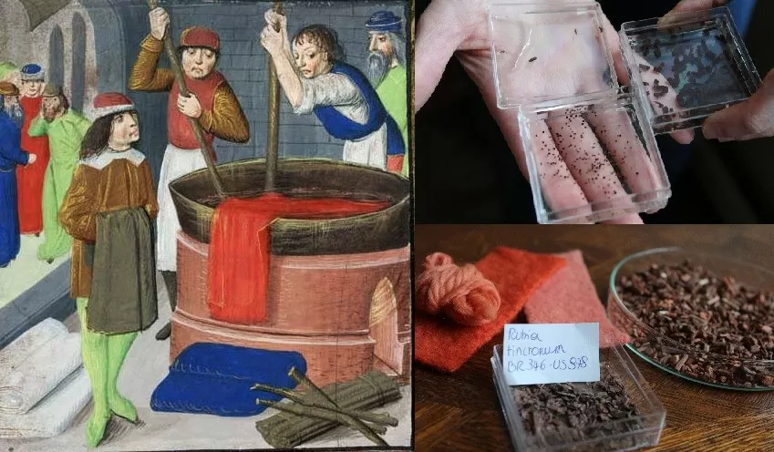 Người Trung cổ ở châu Âu dùng vật liệu gì để nhuộm vải? Người Trung cổ ở châu Âu dùng vật liệu gì để nhuộm vải?