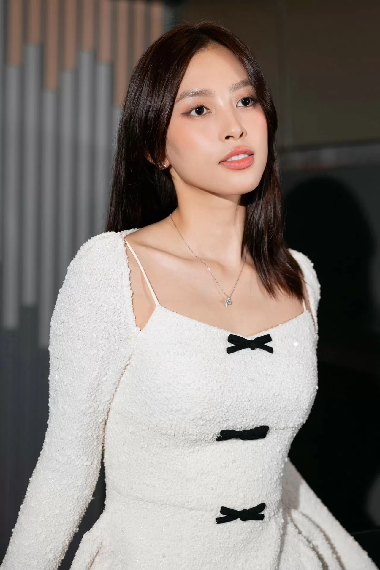 Hoa hậu Trần Tiểu Vy