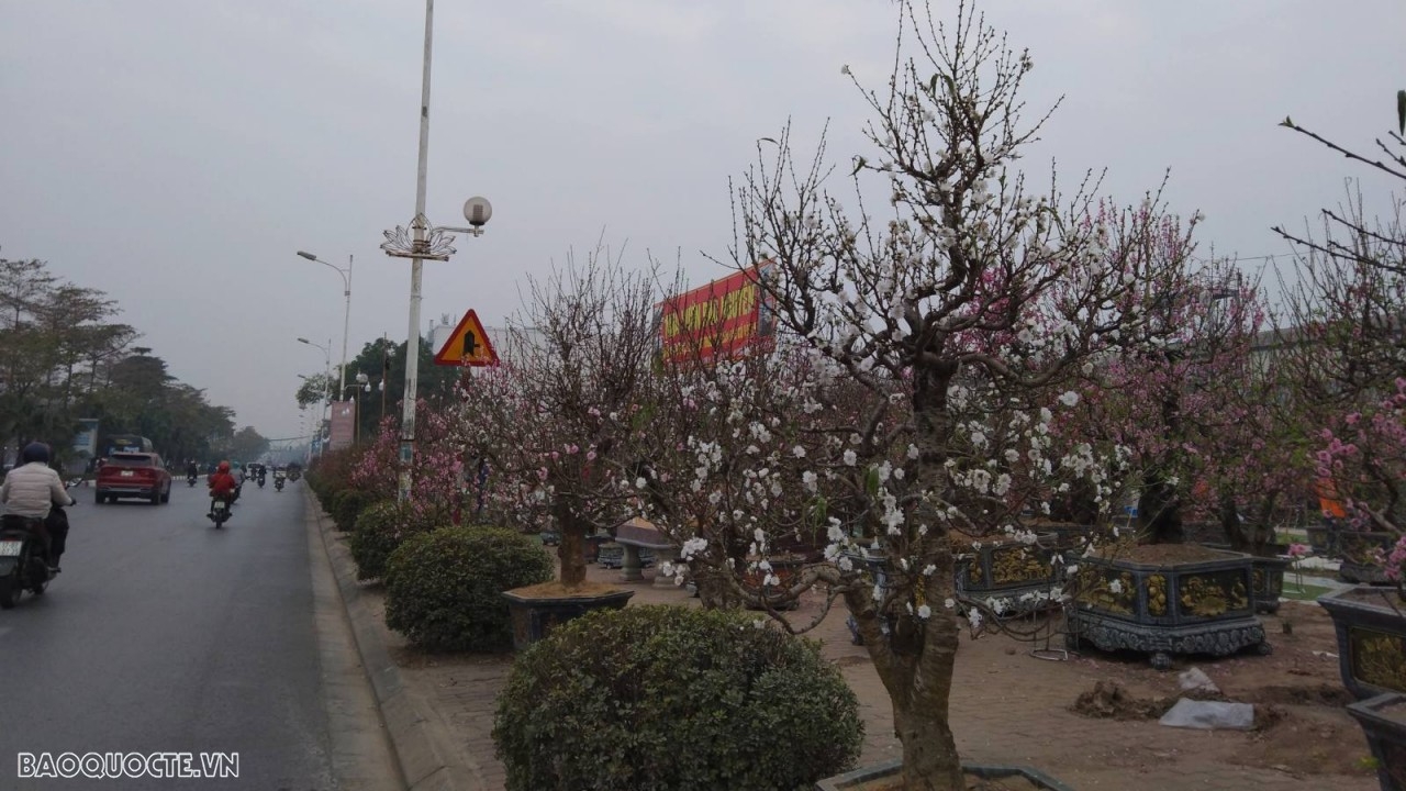 Dự báo diễn biến không khí lạnh tăng cường: Chiều, đêm 26/1, Bắc Bộ, Bắc Trung Bộ chuyển rét đậm; vùng núi cao có băng giá, mưa rào rải rác