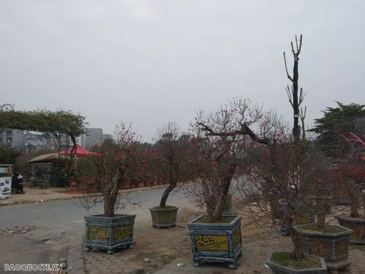 Dự báo thời tiết dịp Tết Ất Tỵ 2025 (26 tháng Chạp - mùng 5 Tết): Bắc Bộ, Bắc Trung Bộ trời rét, khả năng xảy ra rét đậm, rét hại; phía Nam ngày nắng Dự báo thời tiết dịp Tết Ất Tỵ 2025 (26 tháng Chạp - mùng 5 Tết): Bắc Bộ, Bắc Trung Bộ trời rét, khả năng xảy ra rét đậm, rét hại; phía Nam ngày nắng