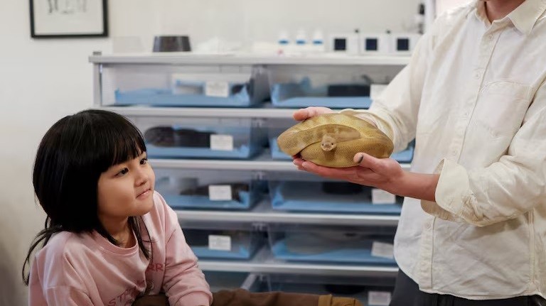 Trải nghiệm uống cà phê bên những con rắn hiền lành nhân dịp năm Ất Tỵ 2025