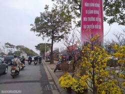 Dự báo thời tiết hôm nay (27/1): Bắc Bộ, Bắc Trung Bộ rét đậm, vùng núi rét hại; Trung Trung Bộ mưa to cục bộ