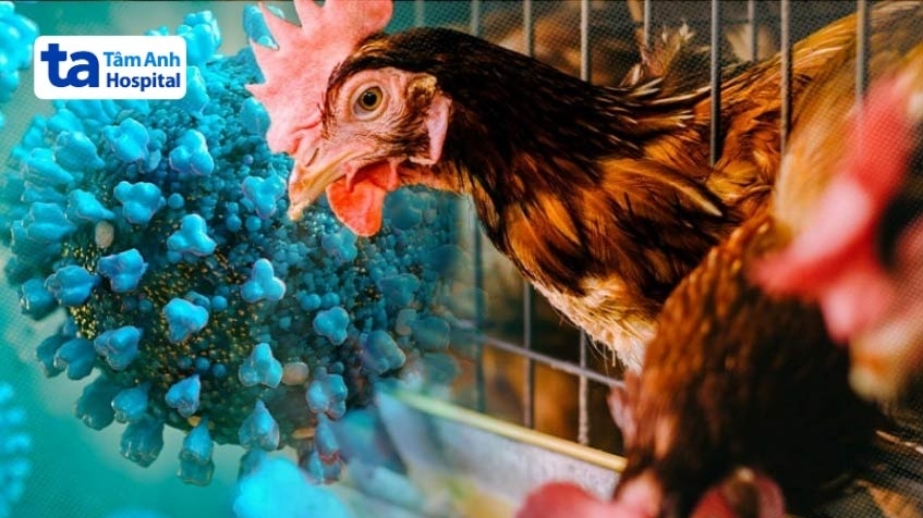 Một quốc gia châu Âu phát hiện ca nhiễm cúm gia cầm ‘hiếm gặp’ ở người