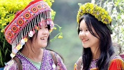 Du lịch Việt: Mê đắm những cung đường hoa Xuân