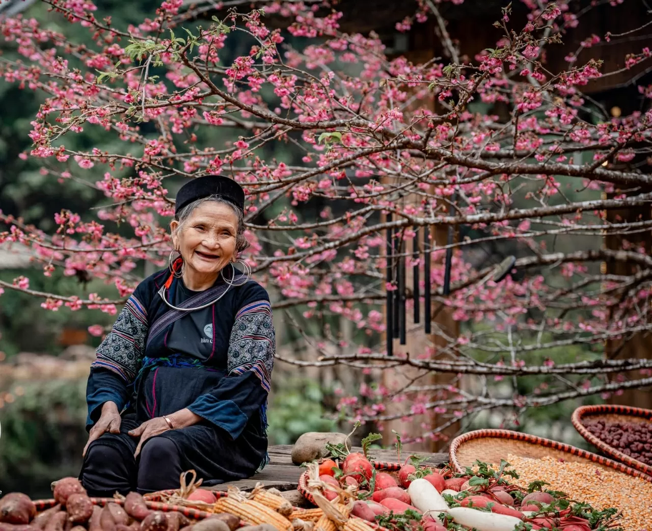 Khám phá Việt Nam: Mê đắm những cung đường Xuân