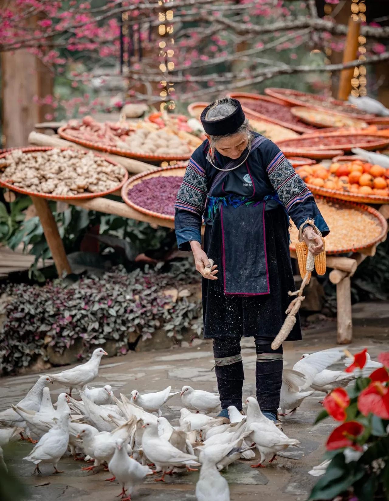 Khám phá Việt Nam: Mê đắm những cung đường Xuân