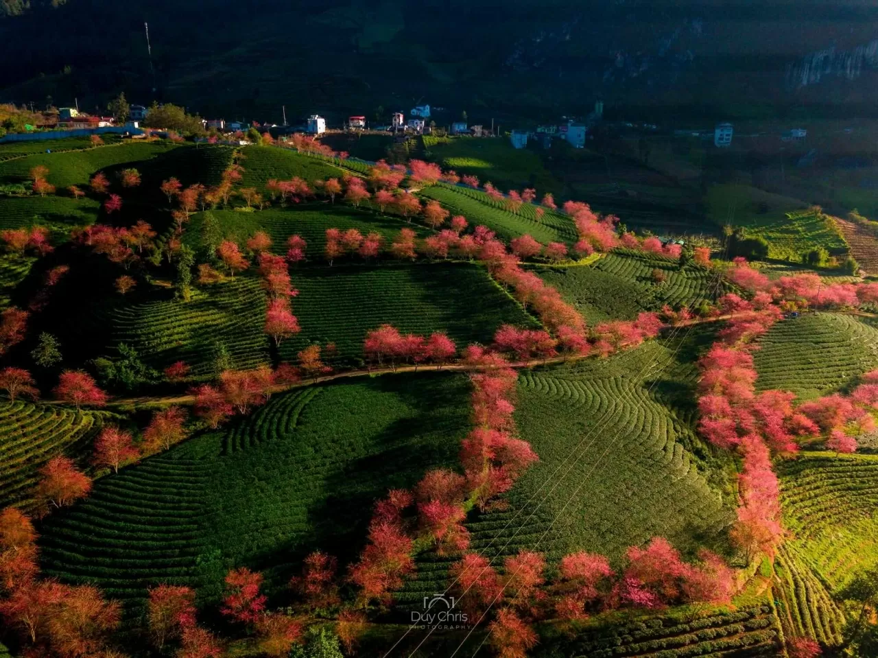 Khám phá Việt Nam: Mê đắm những cung đường Xuân