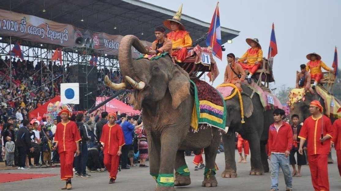 Tìm về cội nguồn văn hóa Lào tại Lễ hội Voi tỉnh Xayaboury 2025