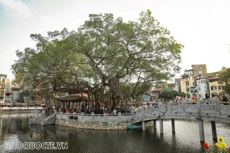 Náo nức Hội chữ Xuân Ất Tỵ 2025 Náo nức Hội chữ Xuân Ất Tỵ 2025