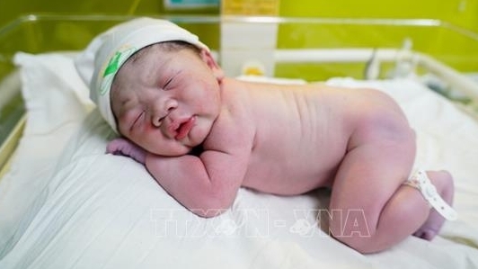 Việt Nam đón hơn 16.500 trẻ chào đời trong dịp Tết Ất Tỵ