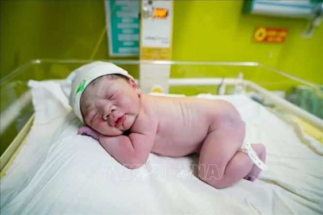 Việt Nam đón hơn 16.500 trẻ trào đời trong dịp Tết Ất Tỵ Việt Nam đón hơn 16.500 trẻ chào đời trong dịp Tết Ất Tỵ