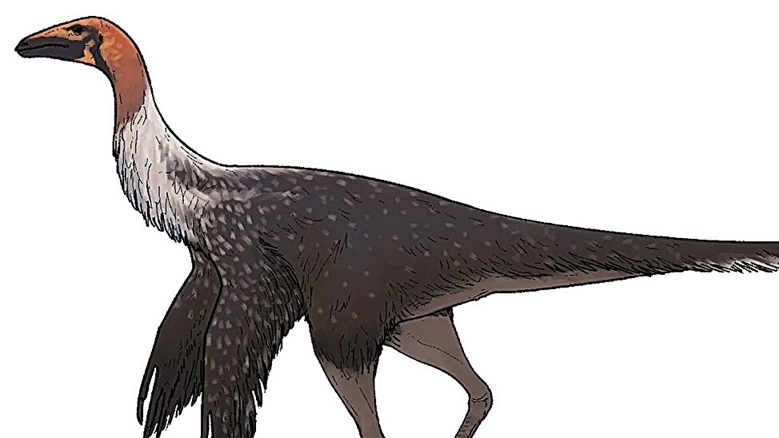 Phát hiện khủng long đà điểu tay dài cổ đại tại Mexico