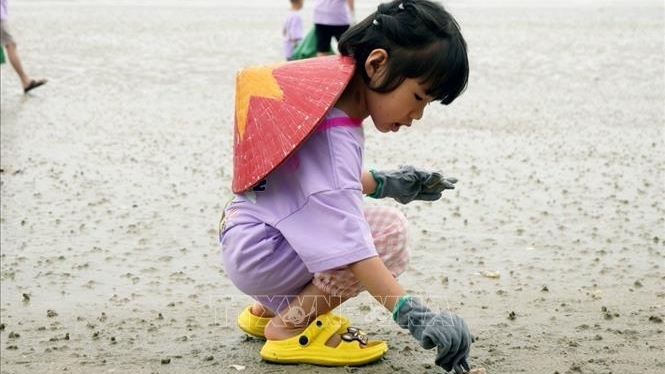 Bài mẫu viết thư UPU lần thứ 54: Gửi cô bé nhặt rác trên bãi biển