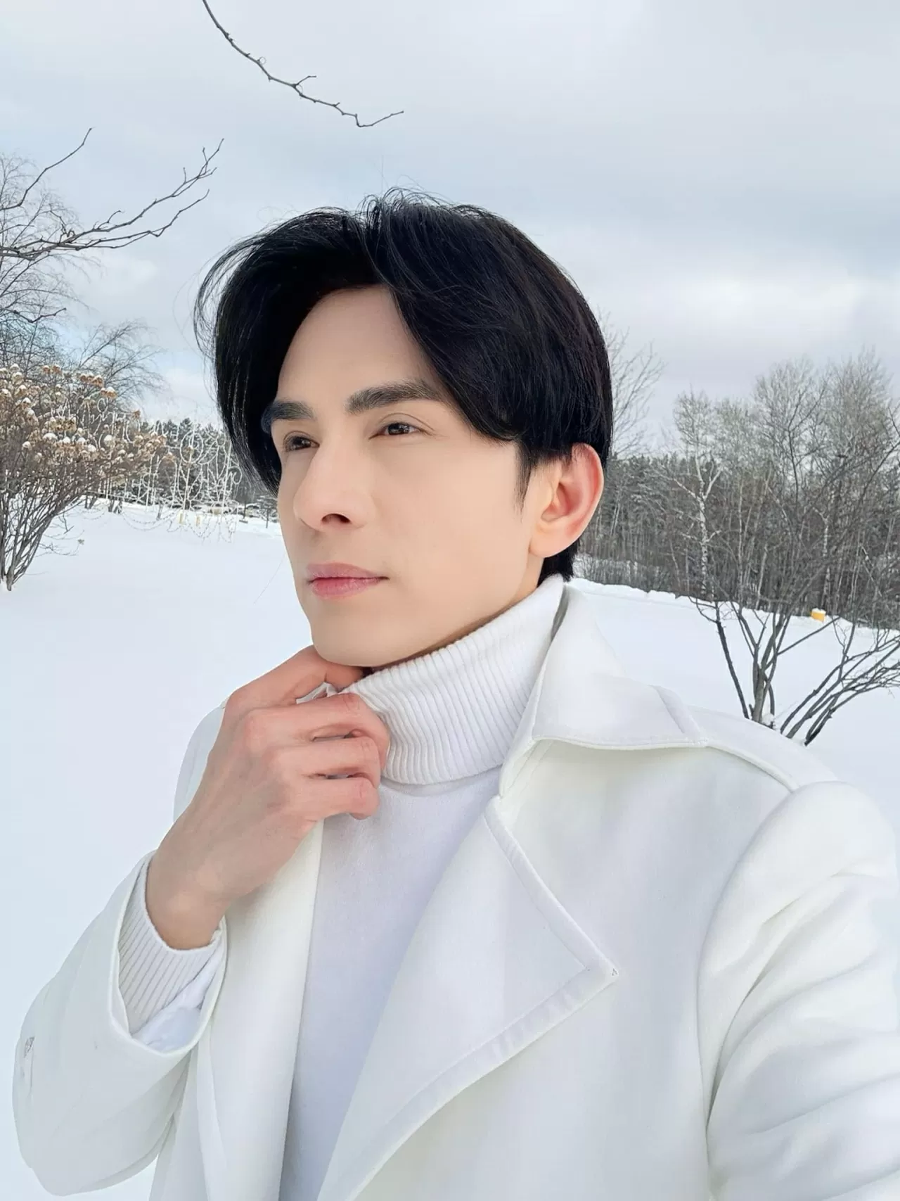 Sao Việt Sao Việt