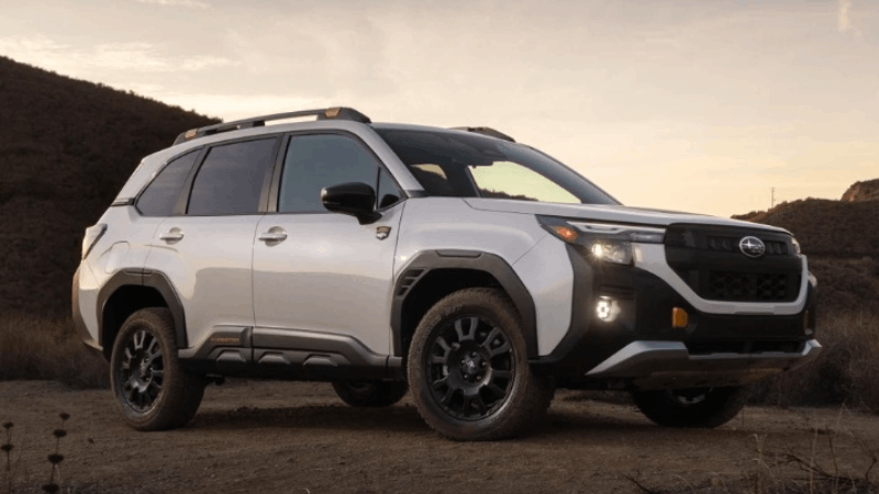 Subaru dự kiến ra mắt Forester Wilderness 2026 vào mùa Thu 2025 Subaru dự kiến ra mắt Forester Wilderness 2026 vào mùa Thu 2025