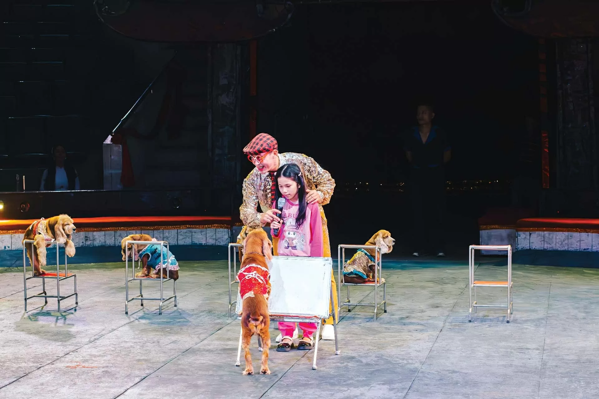 Xiếc Việt chuyển mình trong kỷ nguyên mới Xiếc Việt chuyển mình trong kỷ nguyên mới