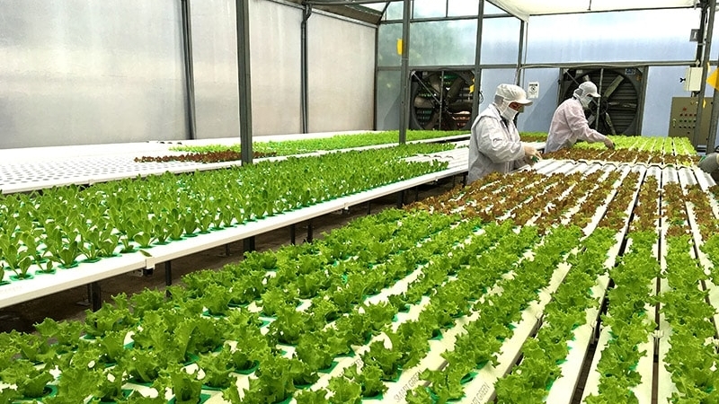 Nhiều công nghệ nông nghiệp tiên tiến được giới thiệu tại Triển lãm Agritechnica Asia Việt Nam 2025