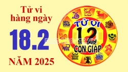 Tử vi hôm nay, xem tử vi 12 con giáp hôm nay ngày 18/2/2025: Tuổi Dần kinh doanh vượng phát