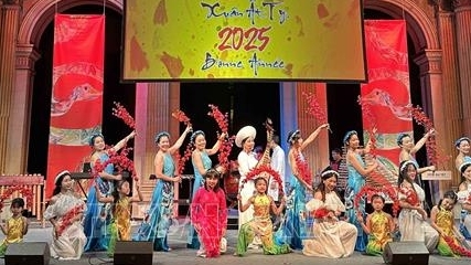 Tết cộng đồng Việt Nam tại Tòa thị chính Paris, Pháp