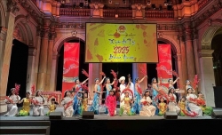 Tết cộng đồng Việt Nam tại Tòa thị chính Paris, Pháp