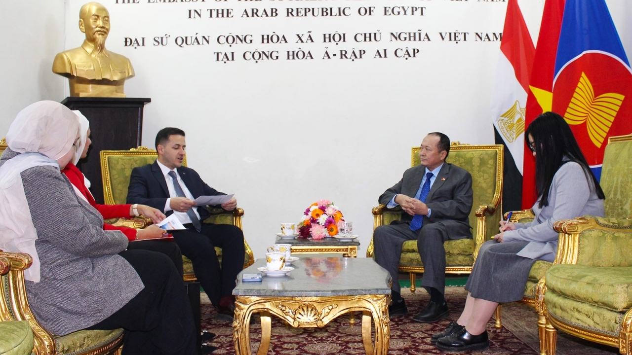 Đại sứ Việt Nam tại Ai Cập trao đổi với Turkish Airlines, thúc đẩy hợp tác hàng không