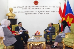 Đại sứ Việt Nam tại Ai Cập trao đổi với Turkish Airlines, thúc đẩy hợp tác hàng không