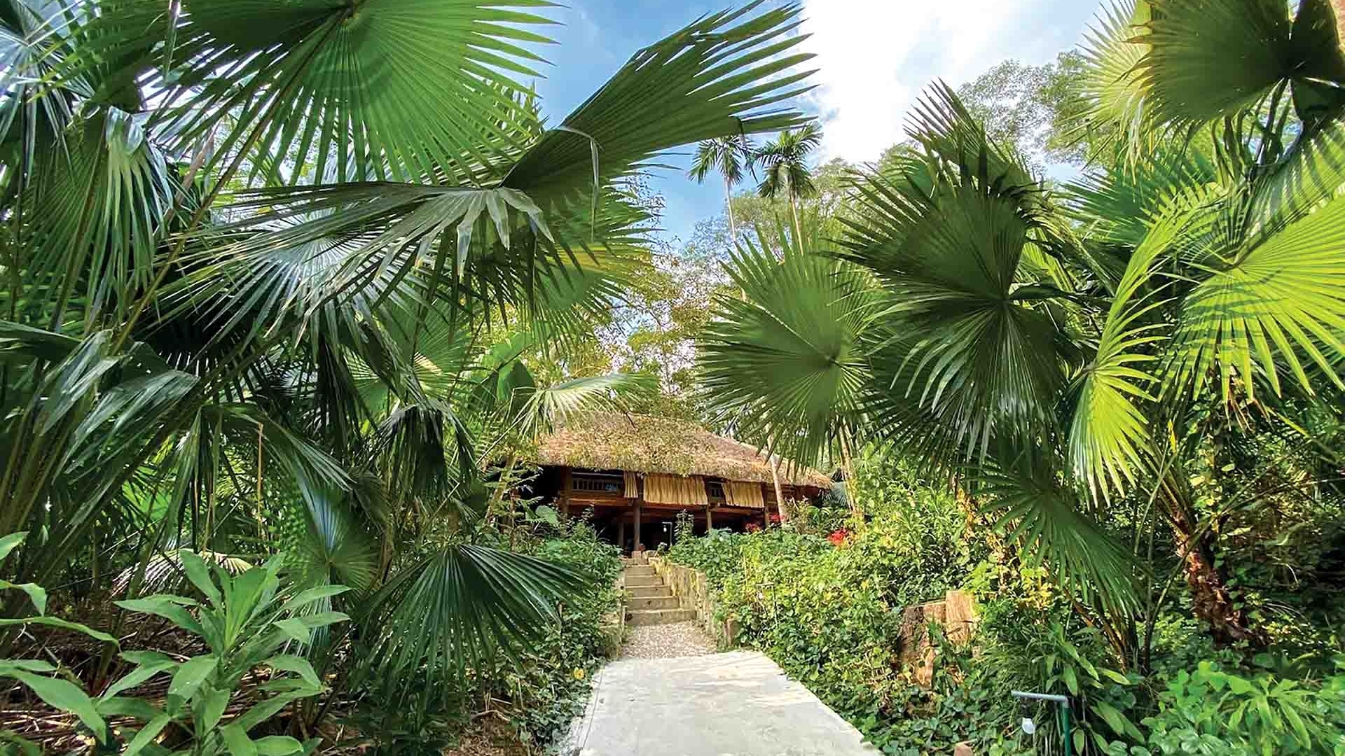 Làng ‘cơm chung nồi, tiền chung túi’